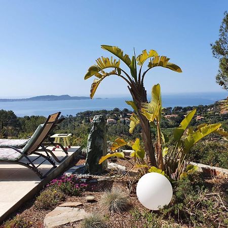Villa Pretty House With Sea View On The Hy Res Hyères Exterior foto